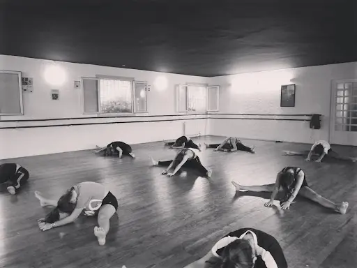 Envie Danse