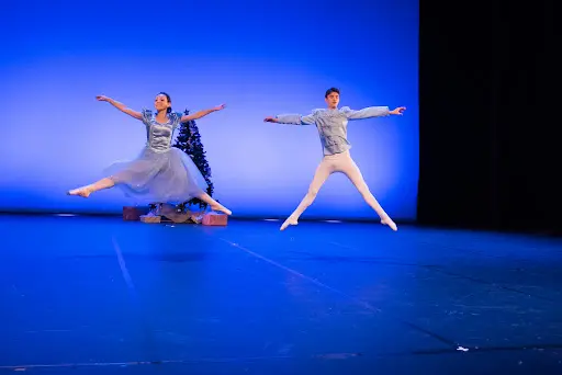 Académie de Danse de Puyricard