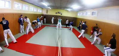 Aix Yoseikan Budo