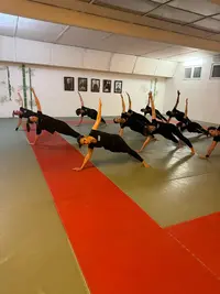 Kme Fitness & Self Defense, Krav-maga, Mma, Aix-en-provence
