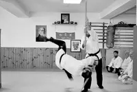 Aikidojo Ajaccio Iwama Takemusu Aikido