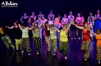 Dissidance