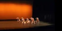 Alice Vidot, Cours de Danse Contemporaine