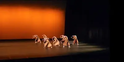 Alice Vidot, Cours de Danse Contemporaine