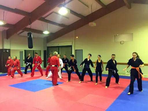 Fédération de Francombat - Alain Basset Self-défense