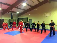 Fédération de Francombat - Alain Basset Self-défense
