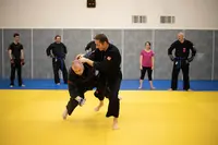 Kajukenbo Alsace