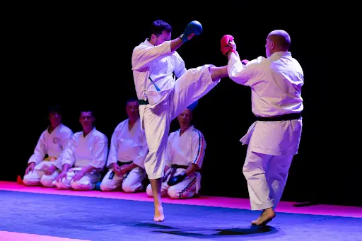 Budokan Karaté 64