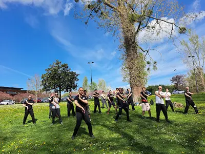 Ip Man Ving Tsun France - Rob Ley Academy - Angoulême et Cognac