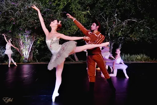 École de Danse et Théâtre du Moulin