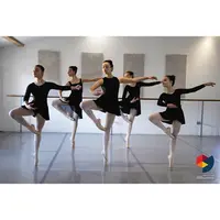 Cad Danse Apt Centre Académique de Danse Cours de Danse, École de Danse Apt