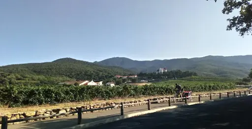 Institut Franco-chinoise de Taiji Quan Chen