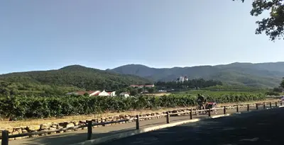 Institut Franco-chinoise de Taiji Quan Chen