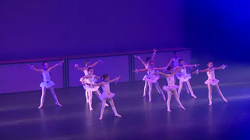 Mc Danse
