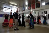 Académie de Flamenco d'Arles