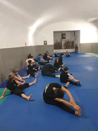 Kung Fu Shaolin Vivarois