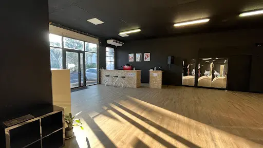 Vb Danse