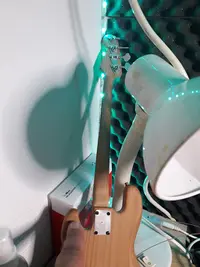 Zzo Bass Lab-luth