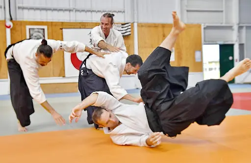 Aikido Traditionnel Auzeville