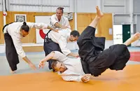 Aikido Traditionnel Auzeville