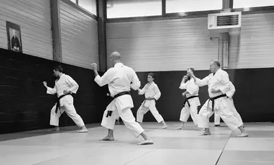 Karate Club Avelinois