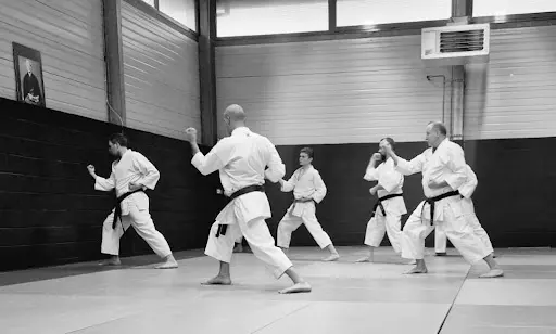 Karate Club Avelinois
