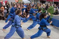 Vo Vietnam Arts Martiaux Bagnolet Montreuil
