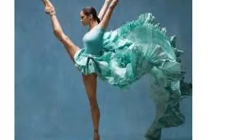 Association Scherer Ecole de Danse