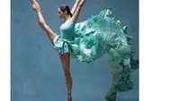 Association Scherer Ecole de Danse