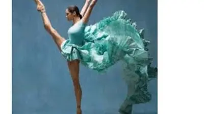 Association Scherer Ecole de Danse