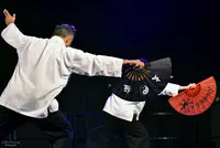 Yin Yang Harmonie