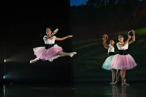Espace Danse Wargnier