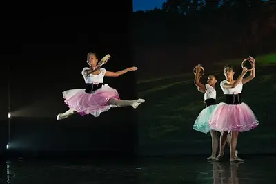 Espace Danse Wargnier