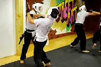 Kung Fu / Jeet Kune Do Bayonne