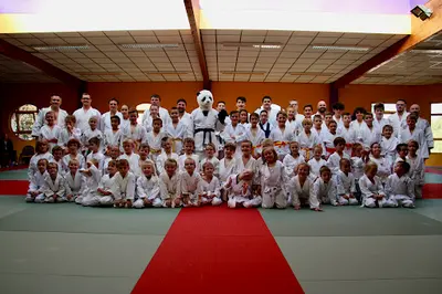 Judo Ju-jitsu Taïso Udas (beaurains/achicourt)