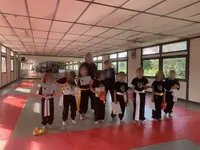 As Kung Fu Wushu Beautiran