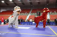 Kung Fu Beauvais Lam Sai Wing
