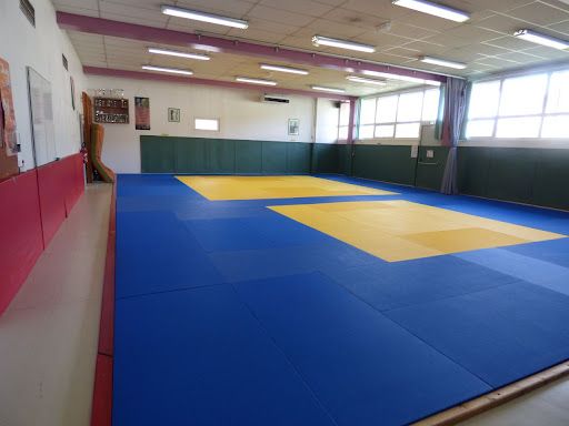 Srb Judo Taiso