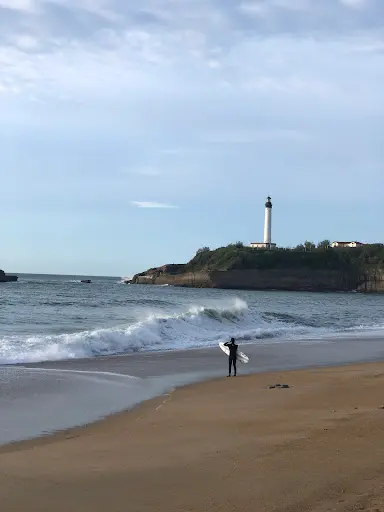 Plums Surf Sport
