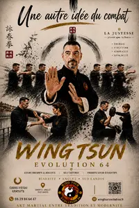 Wing Tsun Evolution