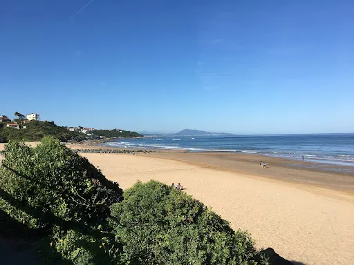 Taiba Surf Club