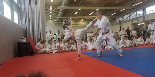 Blagnac Arts Martiaux