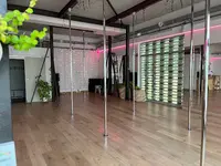 Pole Dance Blagnac
