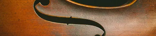 Violin Art