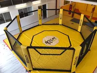 Ikigai Academie