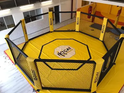 Ikigai Academie
