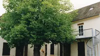 Ecole Municipale de Musique
