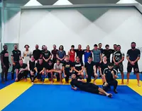Impacts Fight