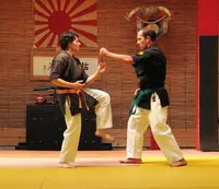 Les Ecoles Bushido - Karate - Self Defense - Ju Jitsu - Kobudo (armes) - Depuis Maintenant 50 Ans