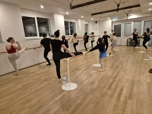 Pole And Dance Passion Bourges